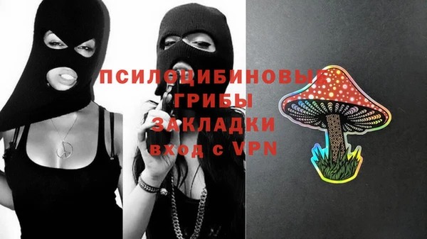 скорость Алзамай